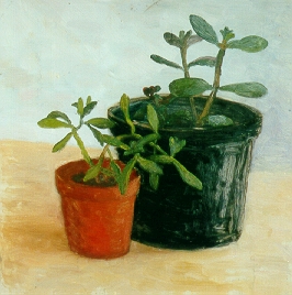 The real painting of plant