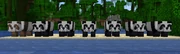 all the diffrent pandas
